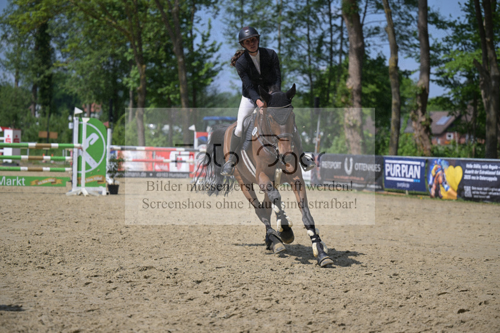 DOS_8762 | Entdecke hochwertige Reitturnierfotos von Foto Oger. Professionell, emotional und authentisch – jetzt Lieblingsmomente im Shop bestellen.Deutschlandweite Turnierfotografie. - Realisiert mit Pictrs.com