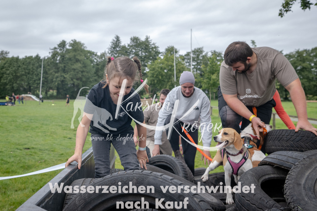 1258_ZZ92818 | kk-dogfotos