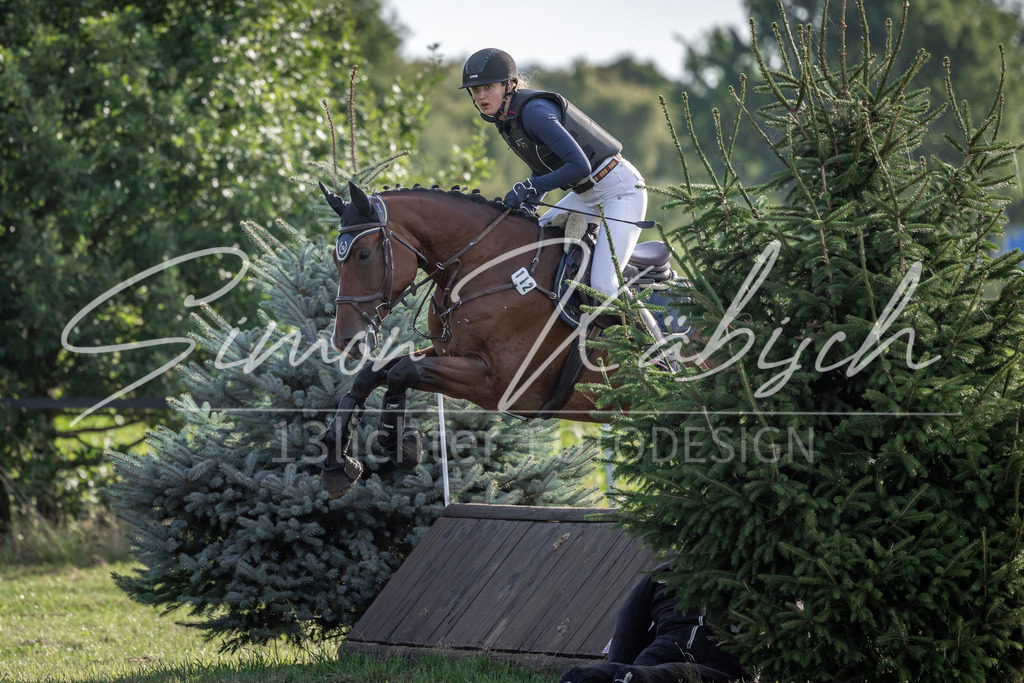 20250907-_3LI8727 | Tierfotografie Pferde, Hunde, Katzen, Haustiere.
Turnierfotografie Reitturniere, Reiten, Springreiten, Dressur in Hanau, dem Main-Kinzig-Kreis und dem Rhein-Main- Gebiet um Frankfurt
