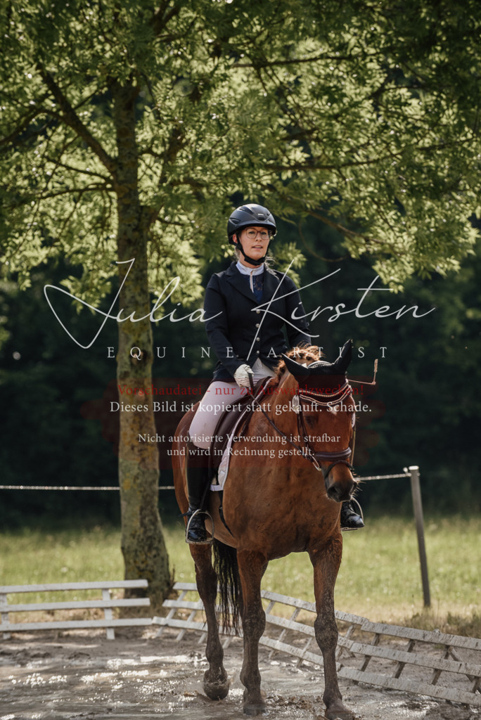 DSC_8882 | Pferde- und Turnierfotografie in Westsachsen. Pferdeportraits, Auftragszeichnungen und intuitive Kunst.