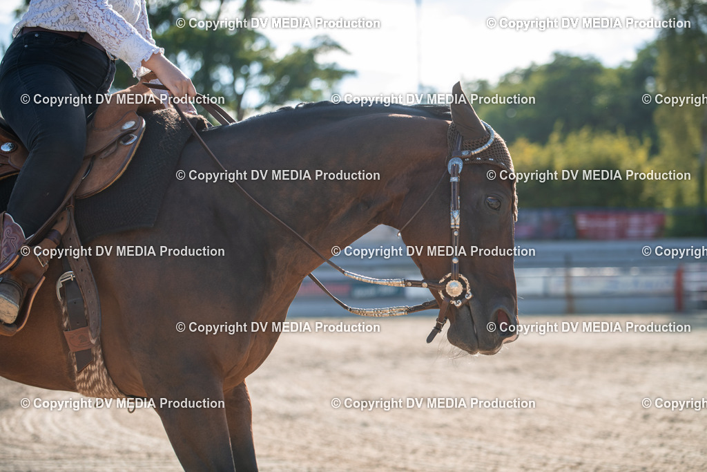 EWP_7081 | dv-media-shop - Realisiert mit Pictrs.com