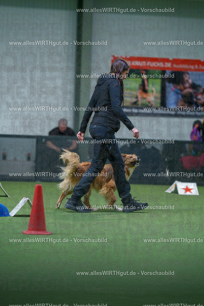 7R502977 | Professionelle Tierfotografie in Mönchengladbach von Daniel Wirth (allesWIRTHgut). Liebevolle & natürliche Bilder von Hunden & Katzen für unvergessliche Erinnerungen.