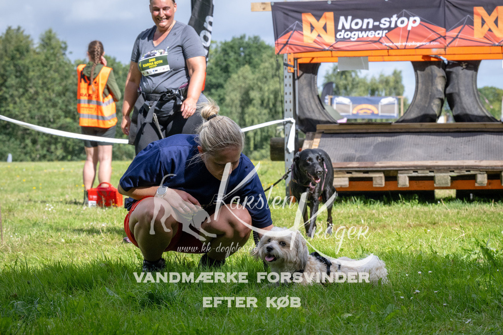 1113_ZZ92112 | kk-dogfotos