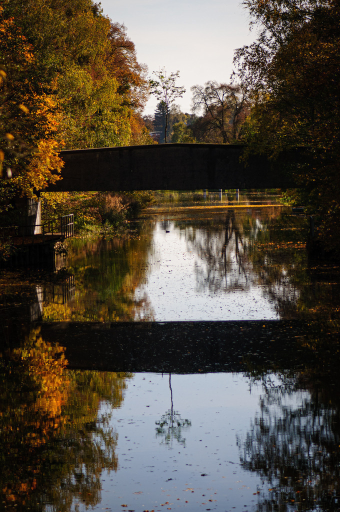 DSC_3539 | kaefersammler_roy - Realisiert mit Pictrs.com