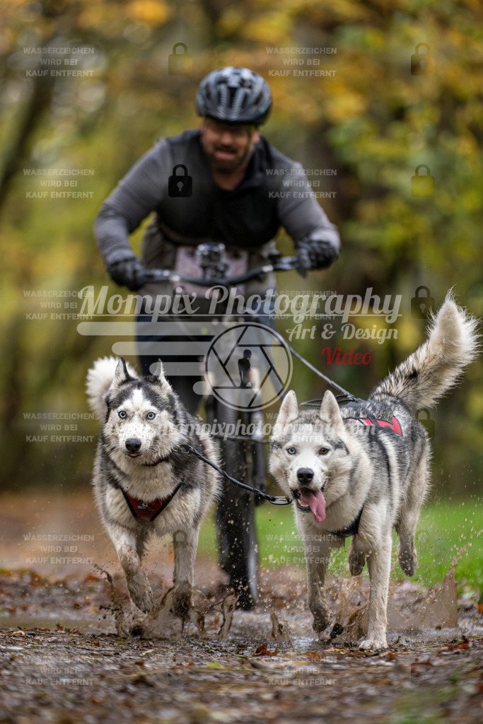 MompixPhotography_Bischwiller23_DS2-28 | mompixphotography