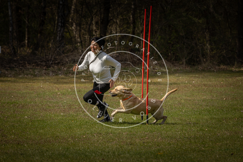 Pfotenfotografie_DV3A4427 | Hundefotografie, Tierfotograf, Pfotenfotografie, Fotoshooting Hund, Hunde Portrait, Hundesport, Hundeportraits, Heideshooting, Hunde, Sportfotograf, Hundefotograf, Turnierhundsport, THS,  - Realisiert mit Pictrs.com