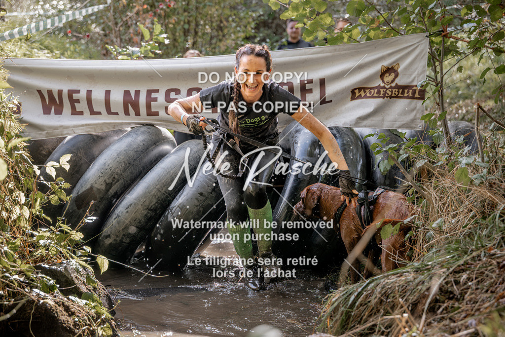 nelerasche_Hunsrück2026_Sa1400-1500_385 | nelerasche