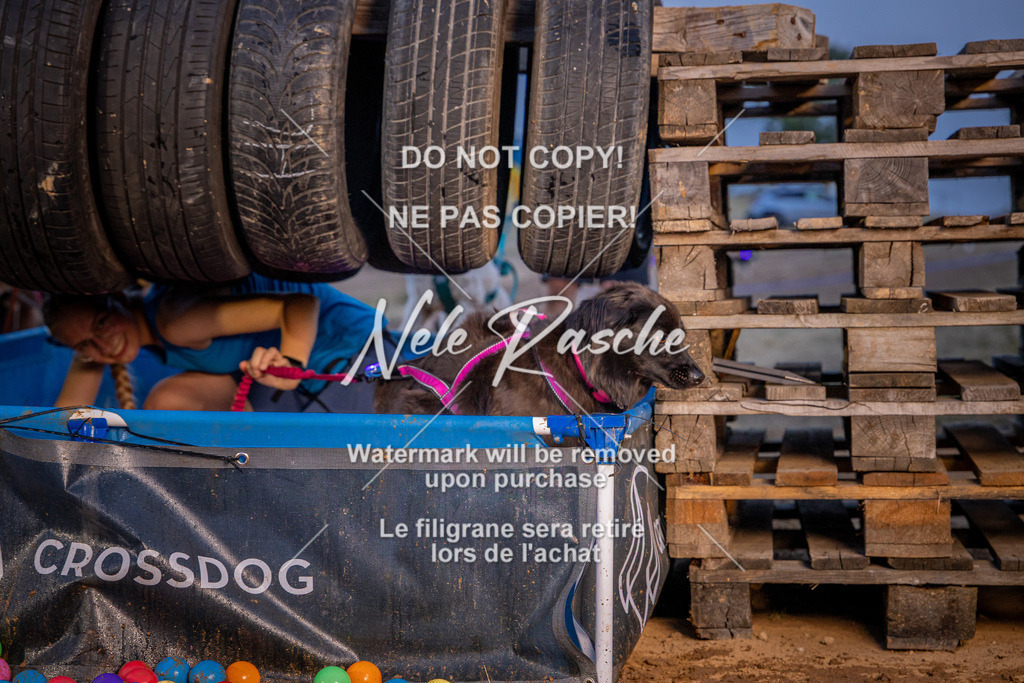nelerasche_SummerNights26_Sa2100-2130_142 | nelerasche