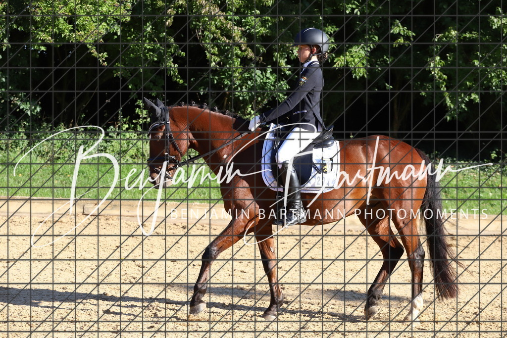 IMG_4846 | Benjamin Bartmann Photomoments