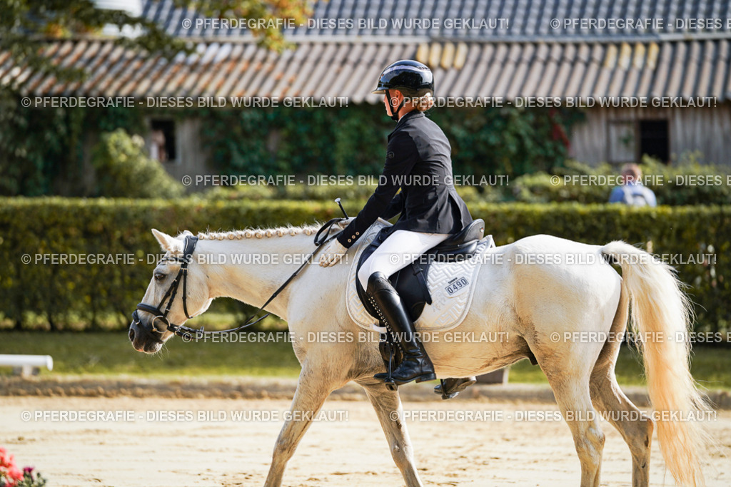 DSC05528 | Pferdegrafie