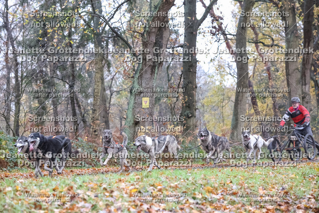 Dog Paparazzi - Ströhen 25-13 | Dog Paparazzi Jeanette Grottendiek Fotografie & Videografie - Realisiert mit Pictrs.com