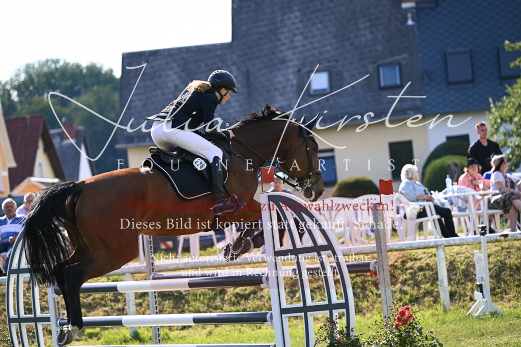 DSC_1338 | Pferde- und Turnierfotografie in Westsachsen. Pferdeportraits, Auftragszeichnungen und intuitive Kunst.