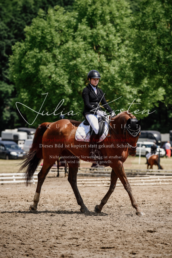 DSC_1377 | Pferde- und Turnierfotografie in Westsachsen. Pferdeportraits, Auftragszeichnungen und intuitive Kunst.