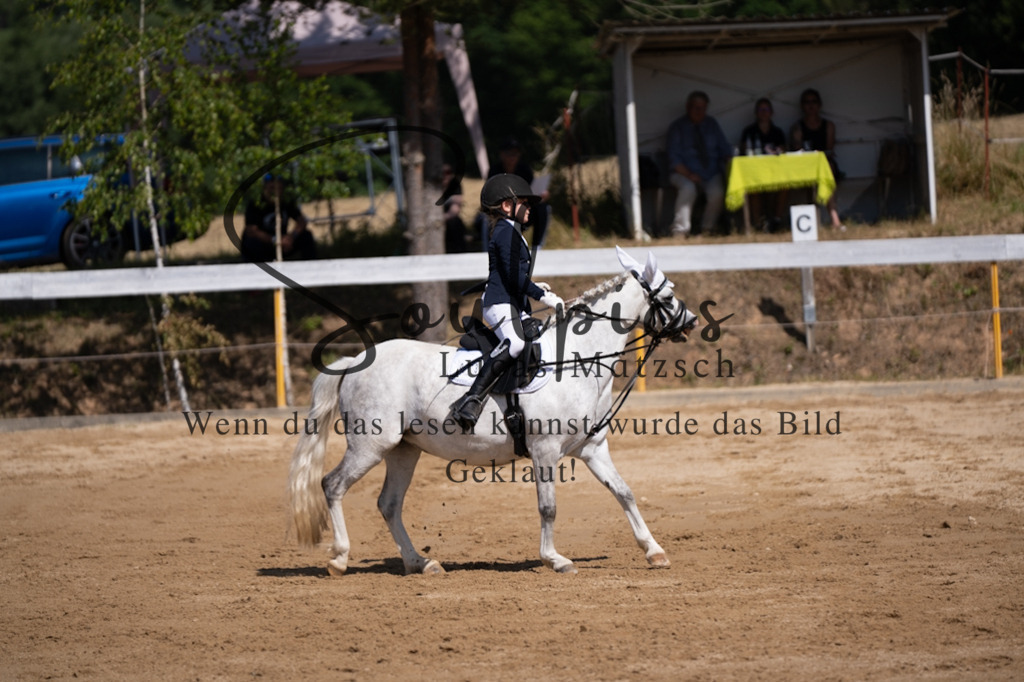 A7V07894 | Pferdefotograf