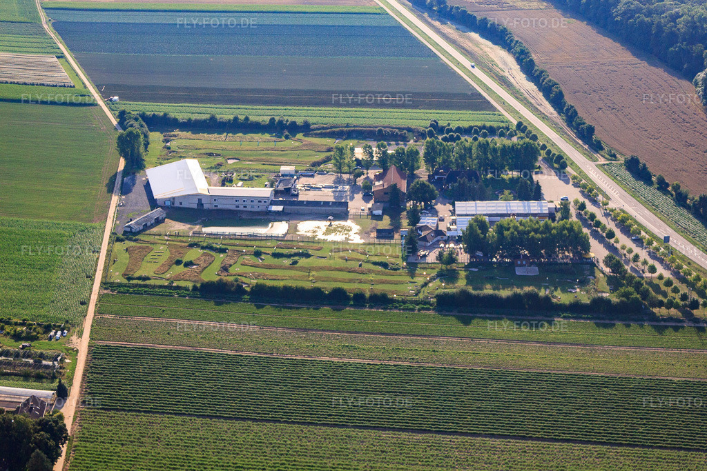 Luftbild: Fussballgolfpark Südpfalz auf dem Adamshof Kandel in Kandel im Bundesland Rheinland-Pfalz in Deutschland. Foto: IMG_70330.jpg vom 19.07.2014 durch Werner Riehm/FLY-FOTO.deWWW.FUSSBALLGOLFPARK-SUEDPFALZ.DE