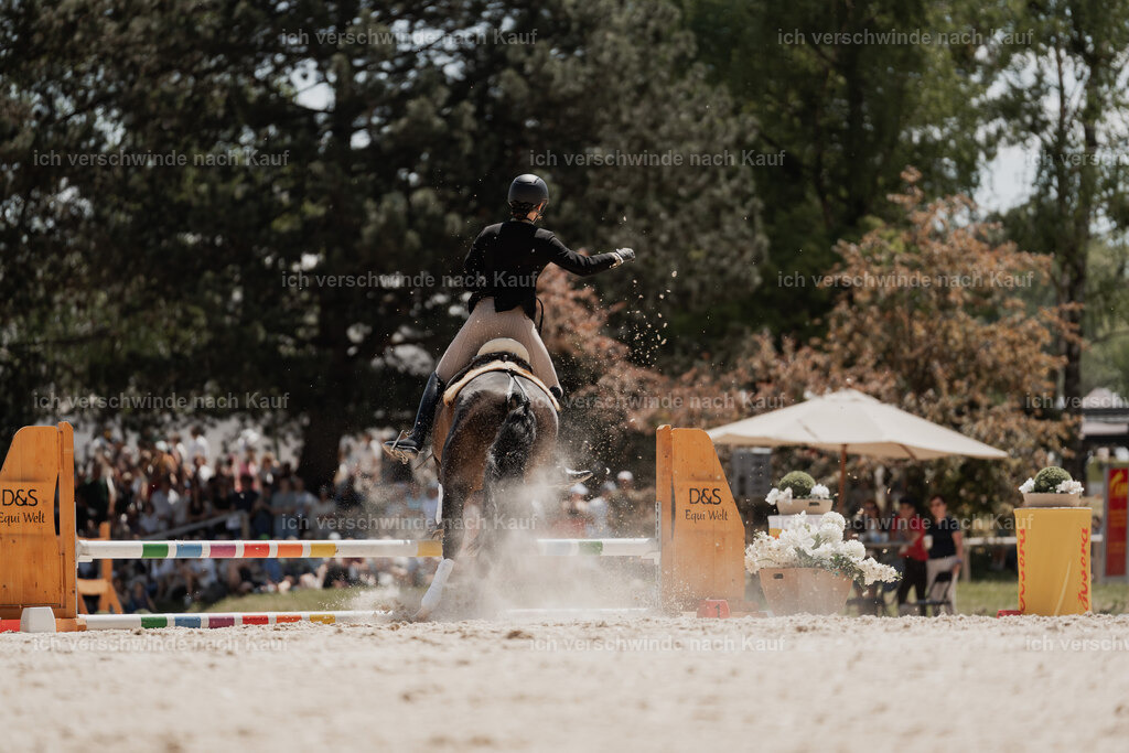 WE_SP_Stoib_330_PI2025_1979 | Pferd International München 2025