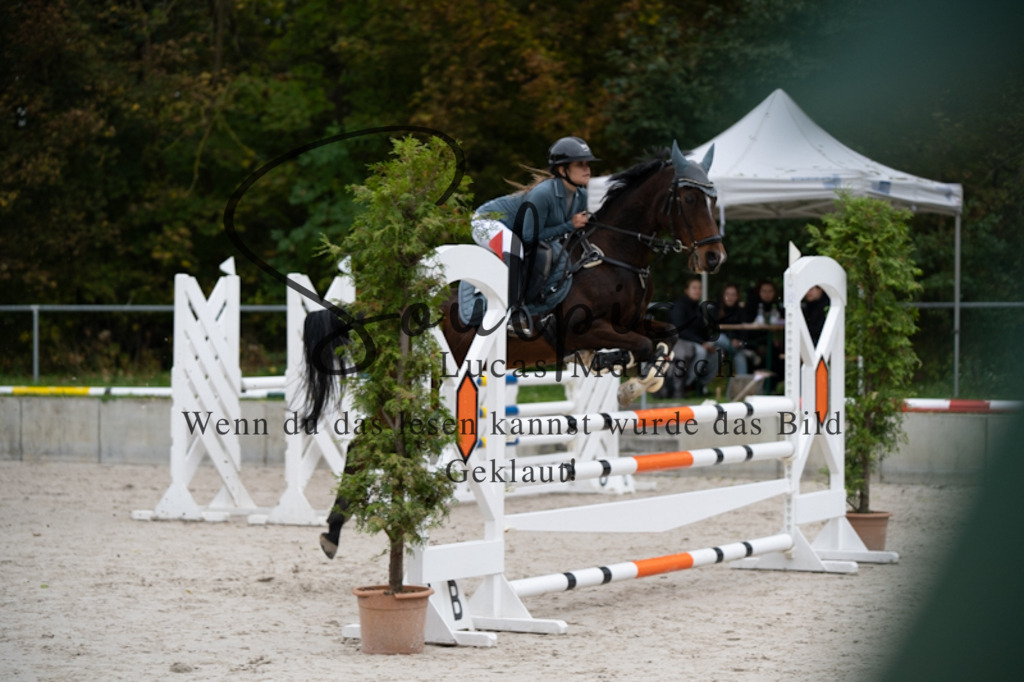 A7V09904 | Turnier/Reitfotograf