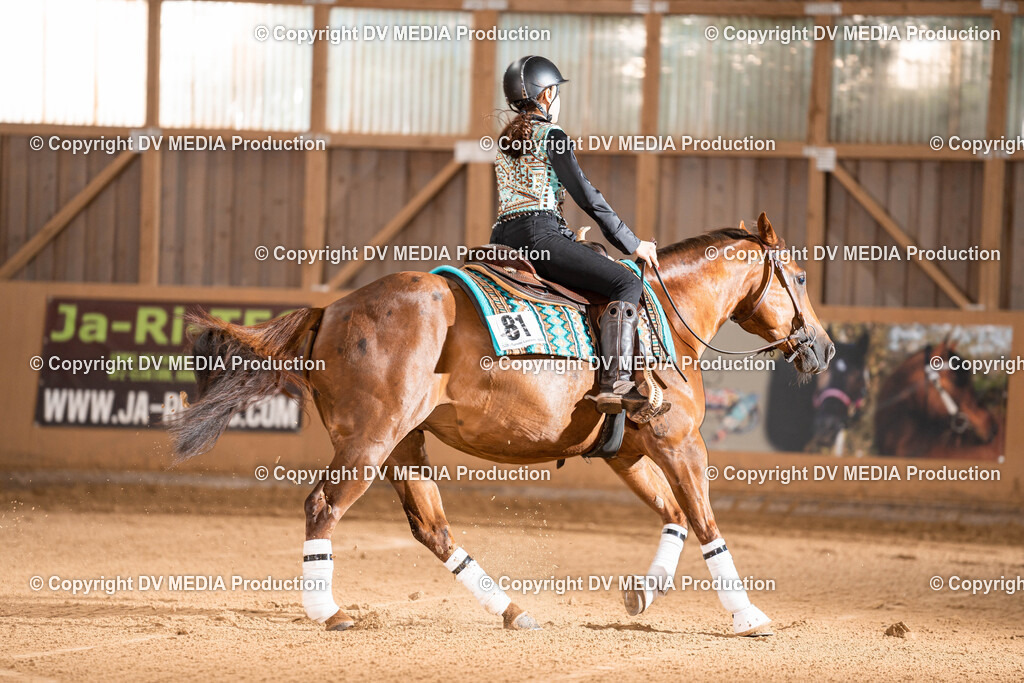 Losheim Tag 1-688 | dv-media-shop - Realisiert mit Pictrs.com