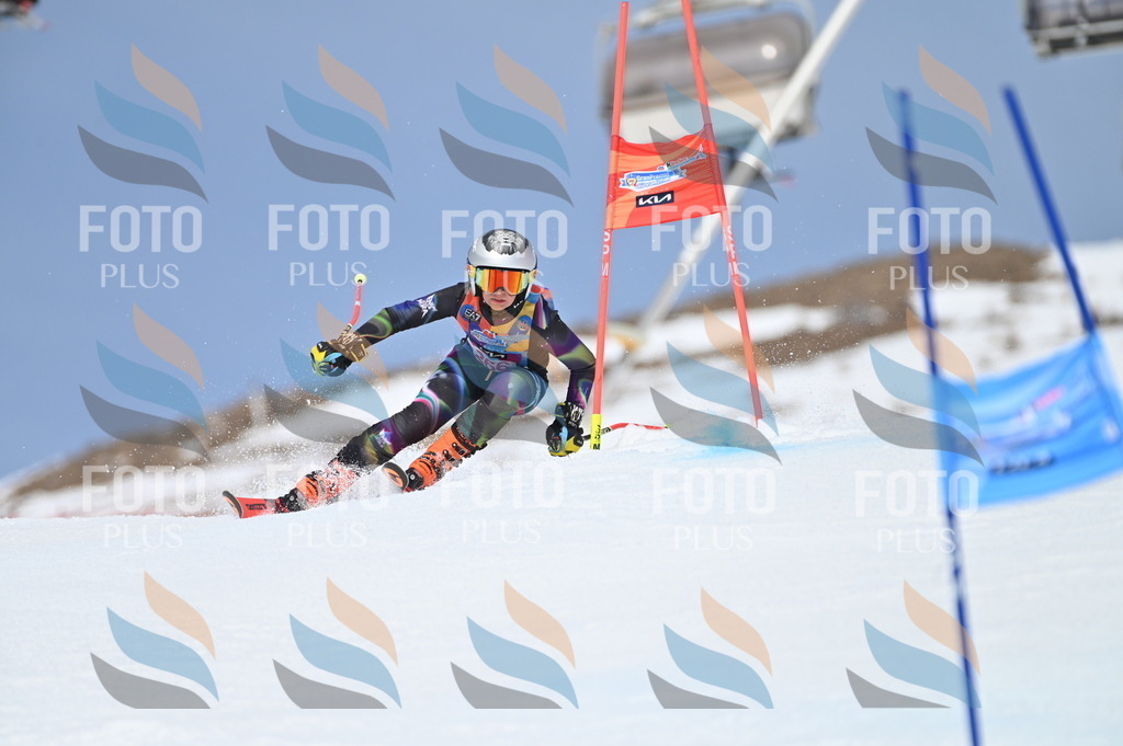 BGV_2185 | holidayphoto