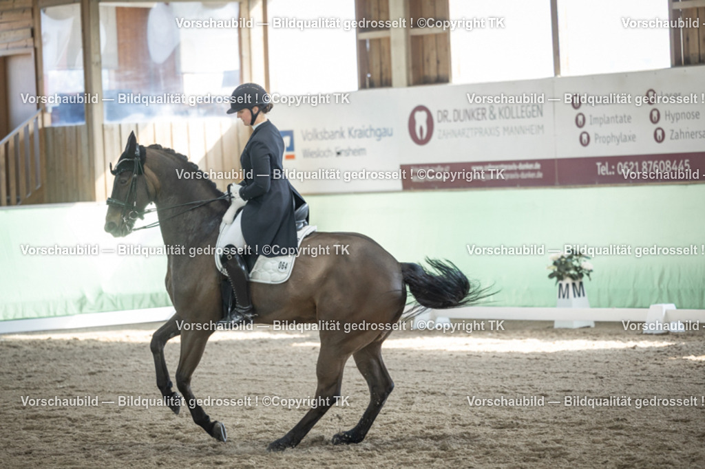 _D5A9889 | Emotionale Pferde- & People-Fotografie rund um Heidelberg, Leimen & Umgebung. Natürliche Fotos von Pferd, Mensch & Familie. Jetzt Termin sichern!