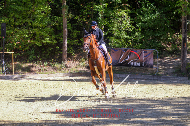 DKP43182 | Deine Turnierfotos vom Reitturnier online kaufen: Dressur, Springen & Siegerehrung. Professionelle Pferdefotografie aus dem Rheinland – als Download & Print.Alternative: Turnierfotograf für den Pferdesport: Finde deine Fotos von Dressur- und Springturnier