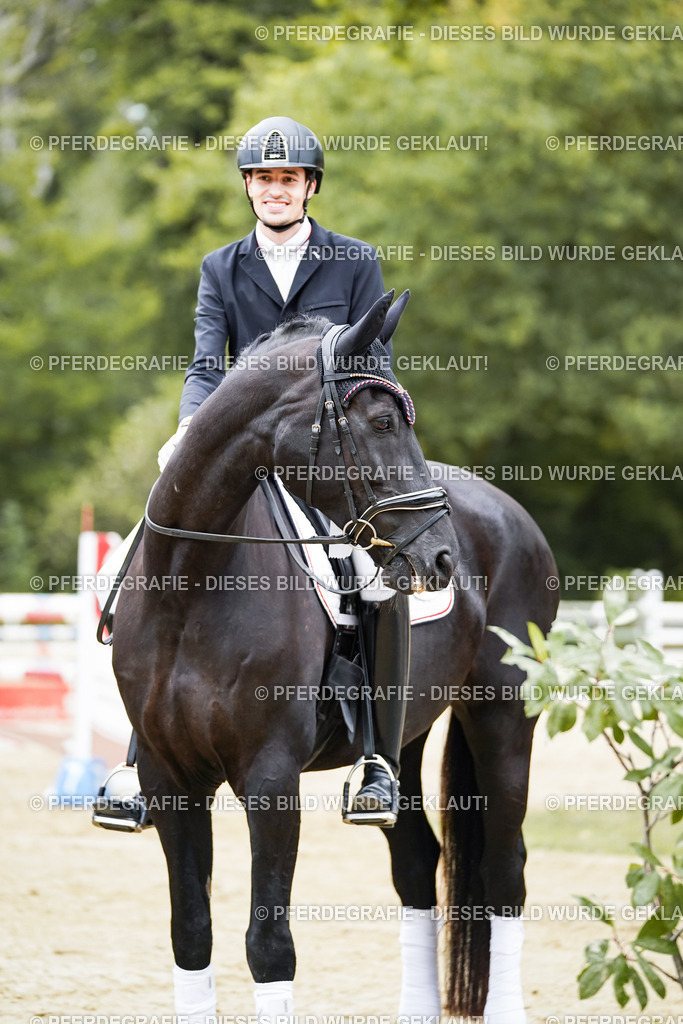 DSC02406 | Pferdegrafie