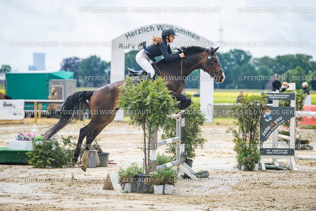 DSC04507 | Pferdegrafie