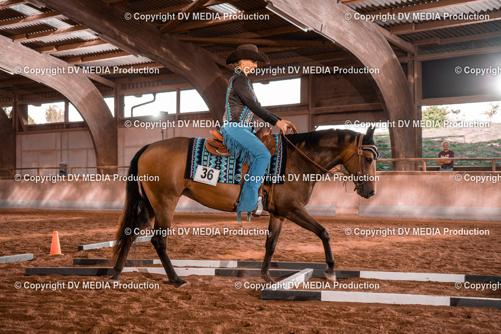 NE200090 | dv-media-shop - Realisiert mit Pictrs.com