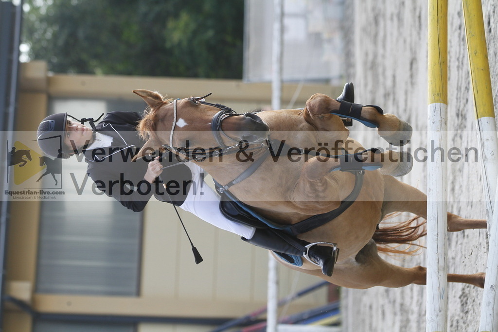 _MG_1532 | equestrian-live-com