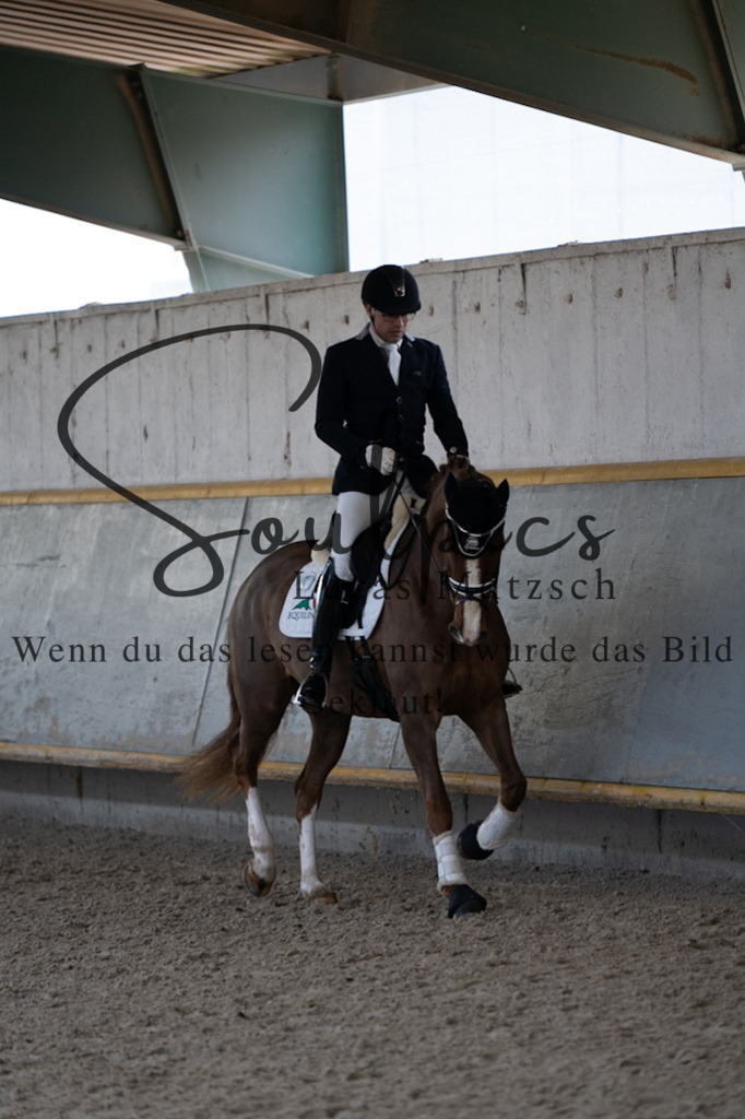 A7V04602 | Pferdefotograf