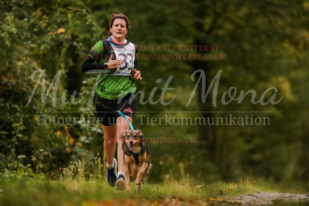 20251005_THS_Turnier-34 | MuT (Mensch und Tier) mit Mona - Fotografie und Tierkommunikation - Realisiert mit Pictrs.com