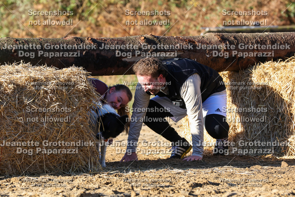 Dog Paparazzi - Strongdog 10-25-1493 | Dog Paparazzi Jeanette Grottendiek Fotografie & Videografie - Realisiert mit Pictrs.com