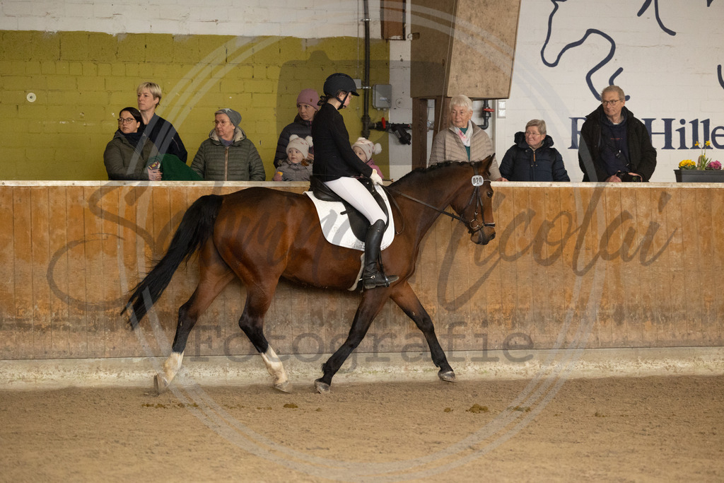 994A8499 | sabrinanicolaifotografie - Realisiert mit Pictrs.com