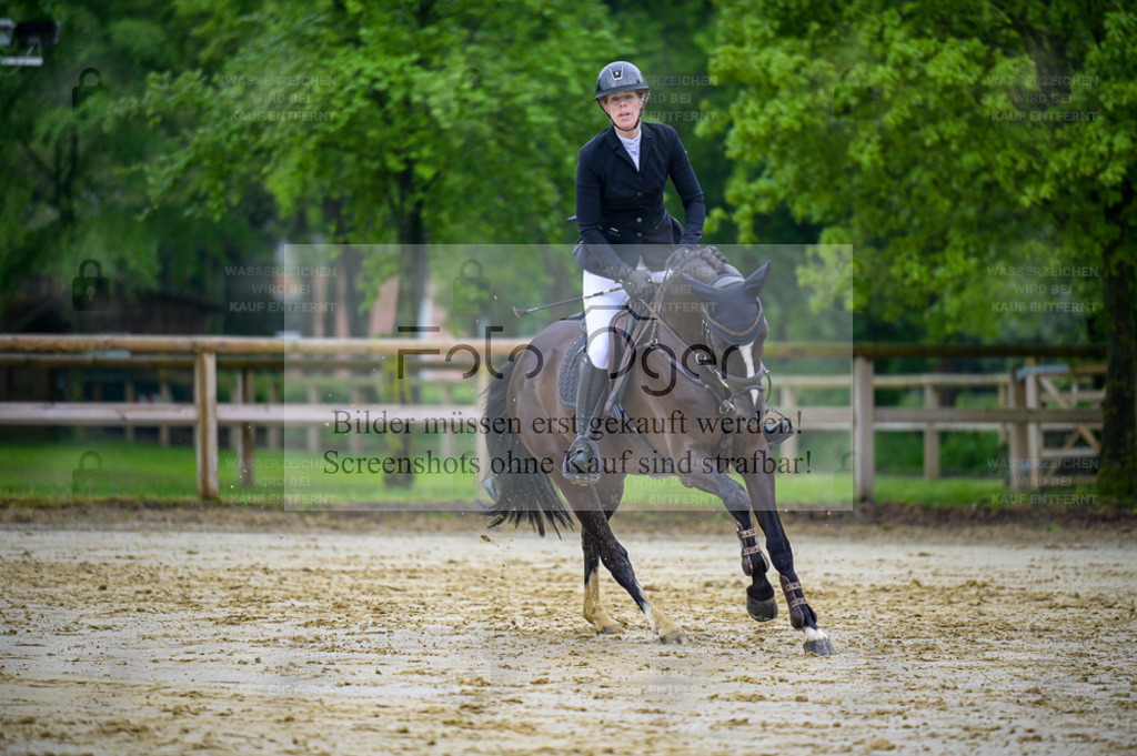 Reitturnier Lienen | Entdecke hochwertige Reitturnierfotos von Foto Oger. Professionell, emotional und authentisch – jetzt Lieblingsmomente im Shop bestellen. - Realisiert mit Pictrs.com