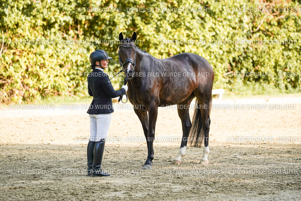 DSC05843 | Pferdegrafie