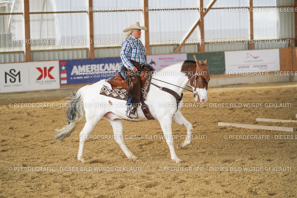 DSC03623 | Pferdegrafie