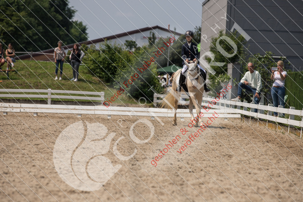 IMG_3806 | Sport-, Event- und Tierfotos in Profiqualität. Einfach auswählen, bestellen und herunterladen. Dein Moment – perfekt festgehalten.