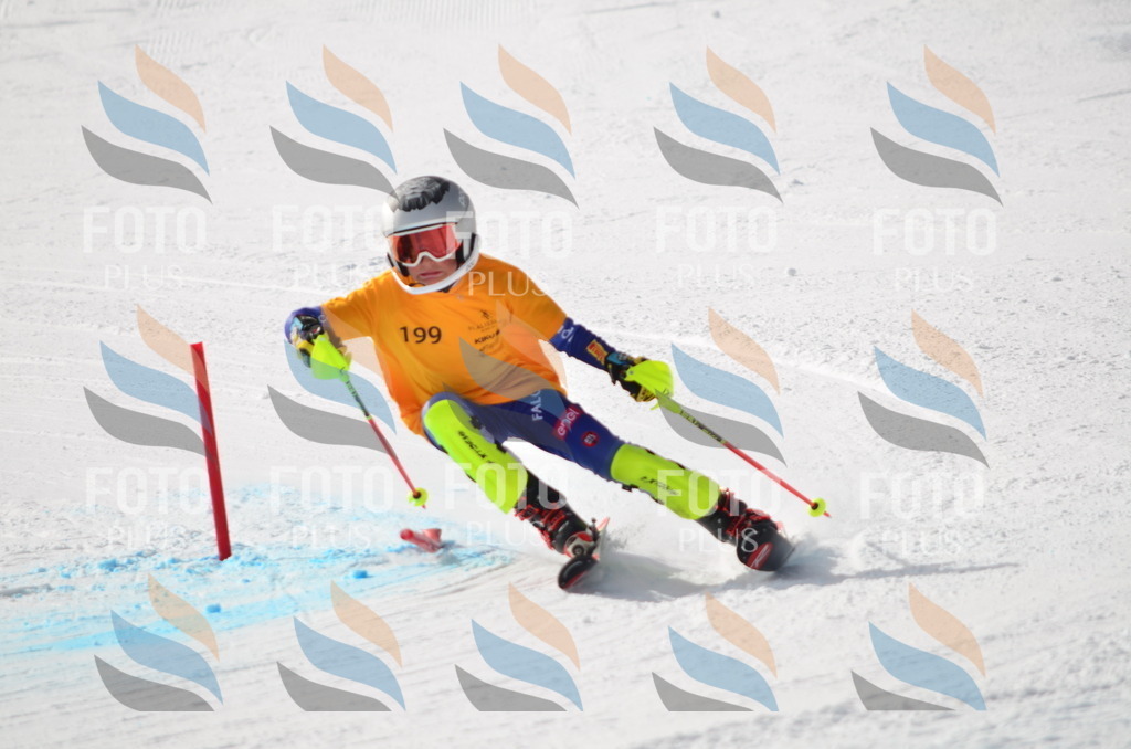 C8108 | holidayphoto