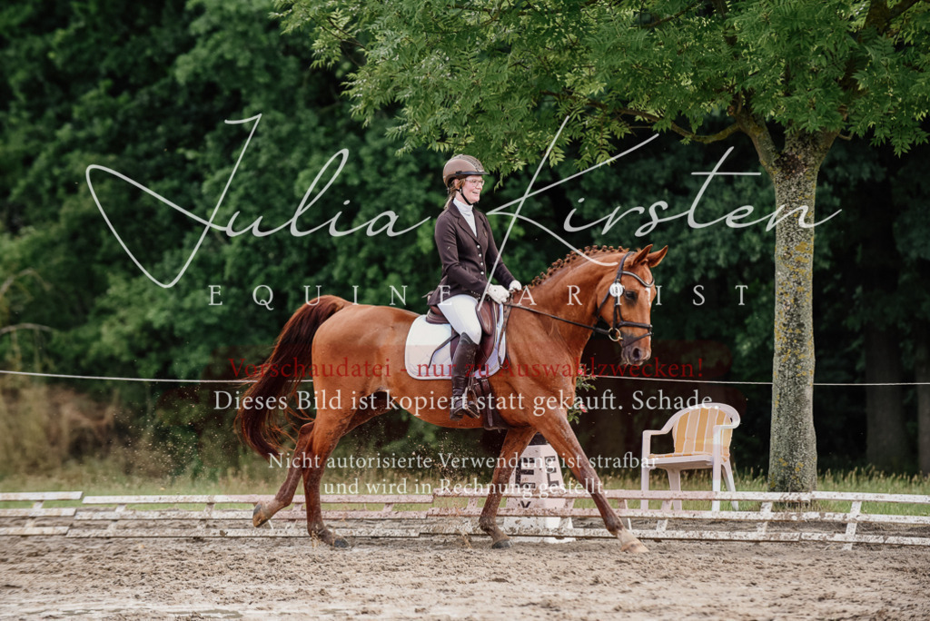DSC_9712 | Pferde- und Turnierfotografie in Westsachsen. Pferdeportraits, Auftragszeichnungen und intuitive Kunst.
