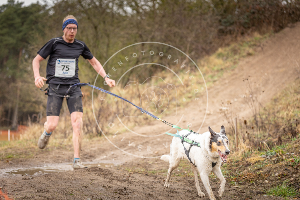DV3A0267 | Hundefotografie, Tierfotograf, Pfotenfotografie, Fotoshooting Hund, Hunde Portrait, Hundesport, Hundeportraits, Heideshooting, Hunde, Sportfotograf, Hundefotograf, Turnierhundsport, THS,  - Realisiert mit Pictrs.com