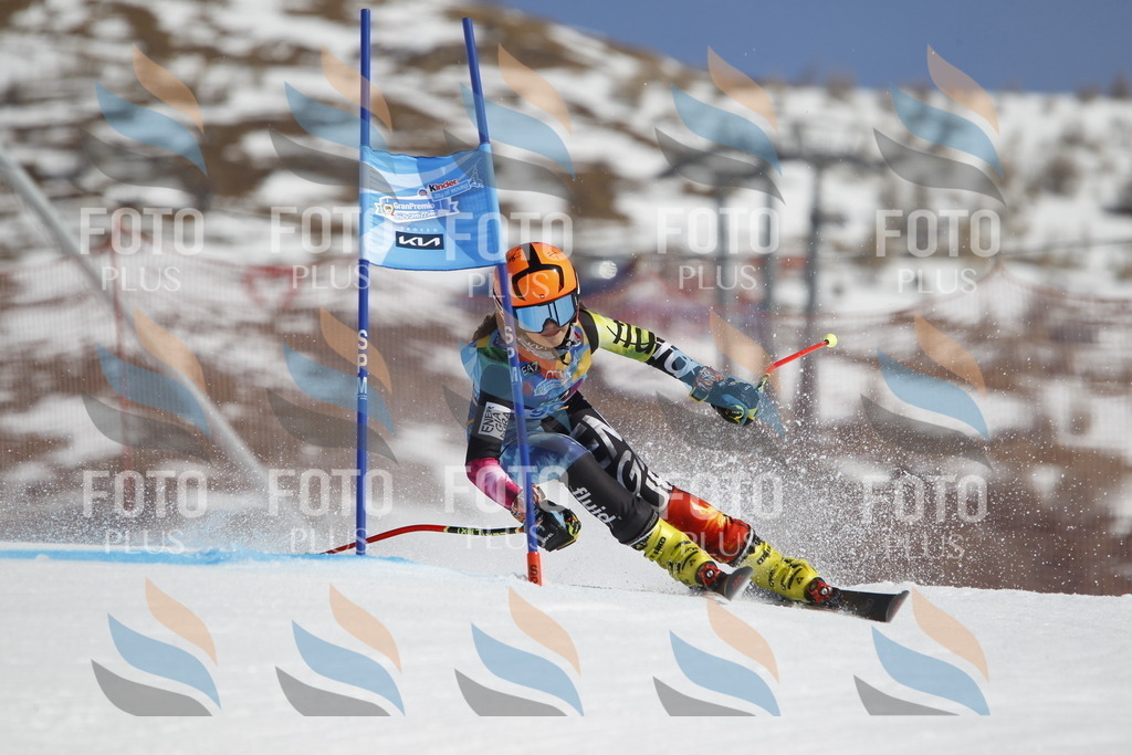 _U3G0286 | holidayphoto