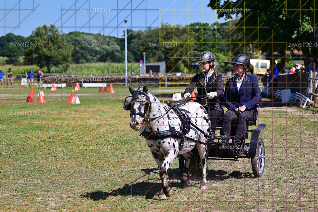 30 Jahre RFV Pulsnitz e.V., Pulsnitz am 09.08.2026 | Zur 28. breitensportlichen Veranstaltung des RFV Pulsnitz e.V. fanden verschiedene Wettbewerbe in nahezu allen Disziplinen des Pferdesport statt. - 18 Kegel-Fahr-Wettbewerb - Realisiert mit Pictrs.com