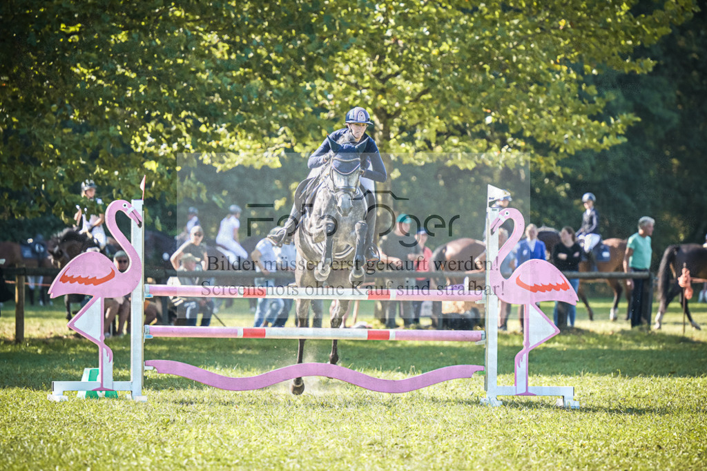 DOS_0269 | Entdecke hochwertige Reitturnierfotos von Foto Oger. Professionell, emotional und authentisch – jetzt Lieblingsmomente im Shop bestellen.Deutschlandweite Turnierfotografie. - Realisiert mit Pictrs.com