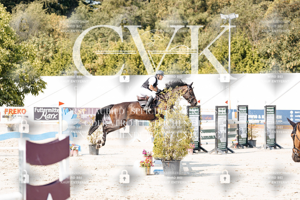 CK901698 | Turnierfotografie Pferdefotografie Trier Rheinland-Pfalz Pferdesport Reitsport Tierfotografie Sportfotografie Pferdevideo Pferdevideografie Equestrianvideography equestrianphotography  - Realisiert mit Pictrs.com