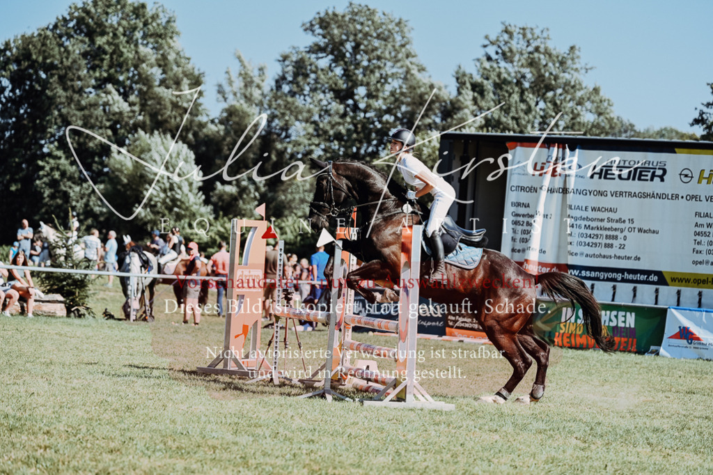 DSC_6673 | Pferde- und Turnierfotografie in Westsachsen. Pferdeportraits, Auftragszeichnungen und intuitive Kunst.