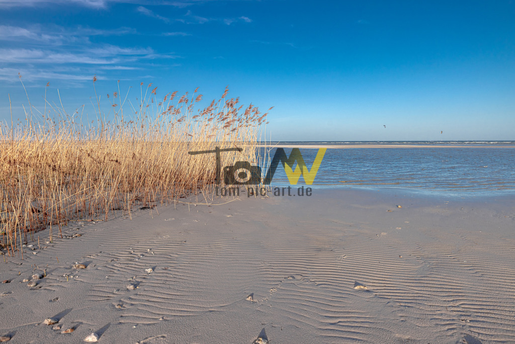 Getrockneter Strandhafer+traumhafter Meerblick|Ostsee | Eine beinahe typische Ostsee Szene. Eine sehr schöne Kulisse , mit der Sicht auf die blaue Ostsee , den blauen Himmel und den trocken Strandhafer. - Realisiert mit Pictrs.com