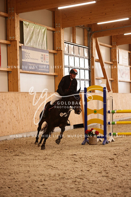 1J2A4286Paul Wiktor_ Quinto 109_ Kn437_ Hohen Wieschendorf_ Glantz | Foto- und Videografie für alles rund ums Pferd. Hochwertige Bilder und Videos vom Spring- und Dressurreiten, Voltigieren & mehr. Jetzt aktuelle Veranstaltungen und Preise im Shop ansehen. - Realisiert mit Pictrs.com