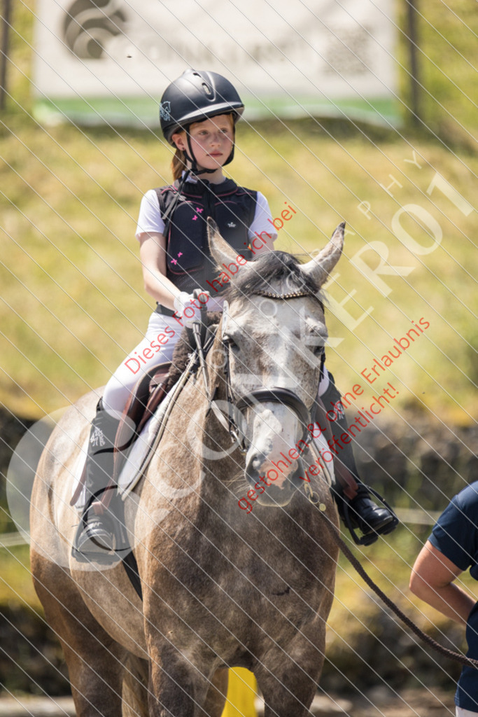 IMG_3463 | Sport-, Event- und Tierfotos in Profiqualität. Einfach auswählen, bestellen und herunterladen. Dein Moment – perfekt festgehalten.