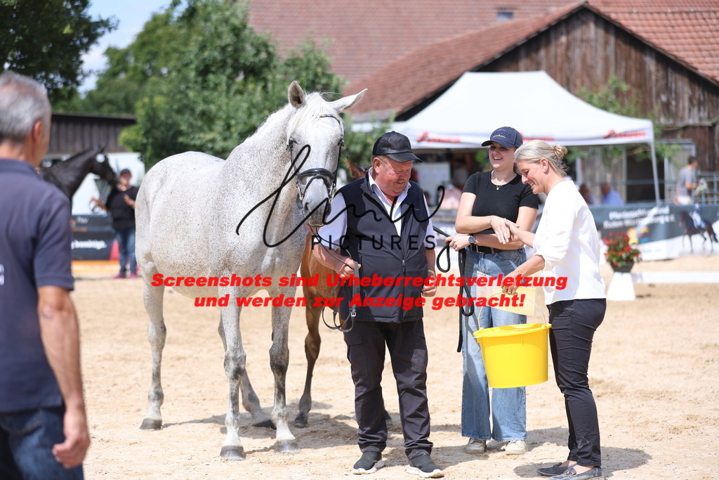 Fohlenschau_Schwäbisch_Hall_springbetonte_Fohlen_RESERVE SIEGERFOHLEN_KN 23_1 | lmwpictures - Realisiert mit Pictrs.com