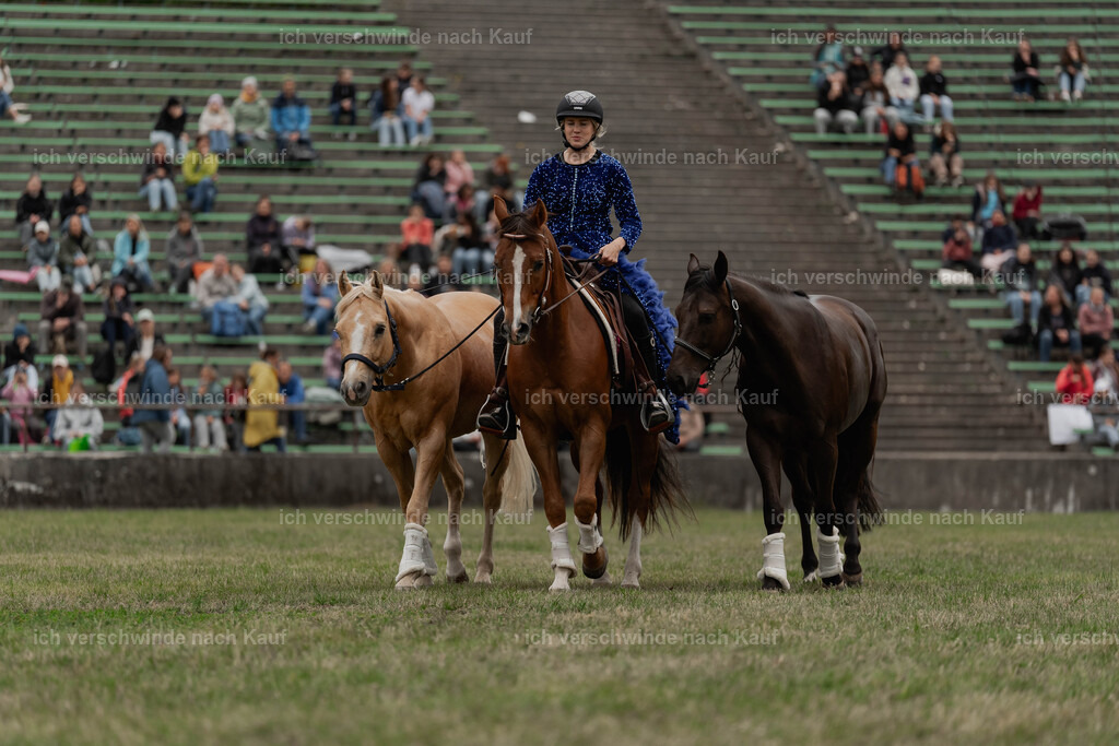 Showprogramm-457 | working equitationturnier fotograf videograf stoibphotography marixx film working equitation deutschland reitsport turnierfotografie eventfotografie equestrian events